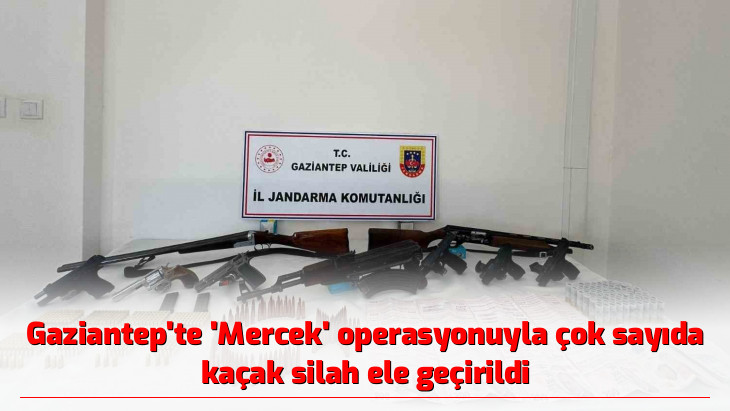 Gaziantep'te 'Mercek' operasyonuyla çok sayıda kaçak silah ele geçirildi
